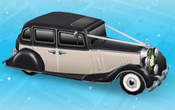 Two Tone Wedding Limo