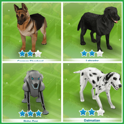 wp-1452858504944 image