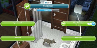 wp-1452946736412 image