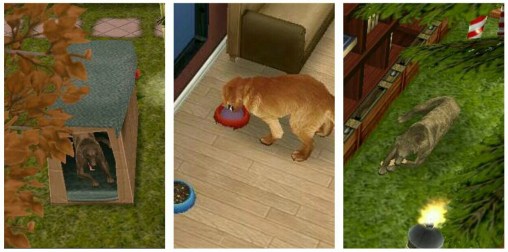 wp-1452950745707 image