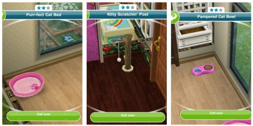 wp-1452950793203 image