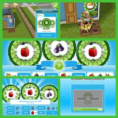 wp-1467104788277 image