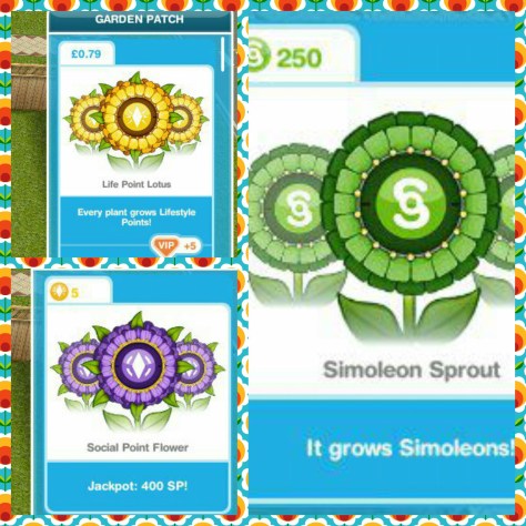 wp-1467104806746 image