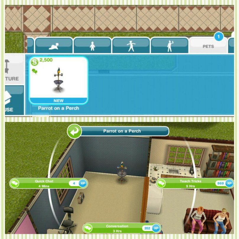 The Sims Freeplay Bird Feeding Quest The Girl Who Games